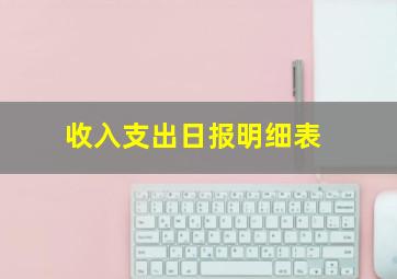 收入支出日报明细表