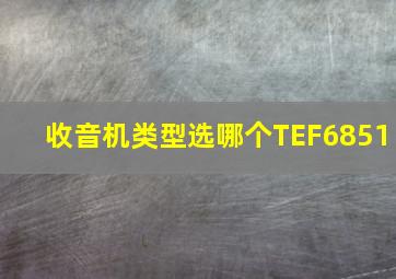 收音机类型选哪个TEF6851