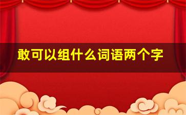 敢可以组什么词语两个字