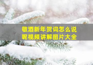 敬酒新年贺词怎么说呢视频讲解图片大全