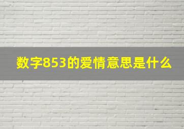 数字853的爱情意思是什么