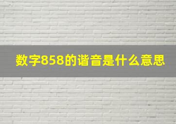 数字858的谐音是什么意思