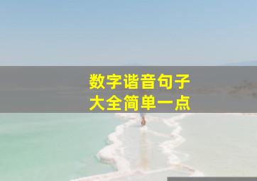 数字谐音句子大全简单一点