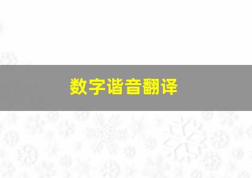 数字谐音翻译