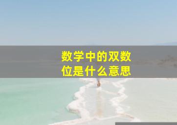 数学中的双数位是什么意思