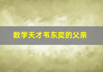 数学天才韦东奕的父亲