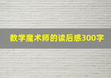 数学魔术师的读后感300字