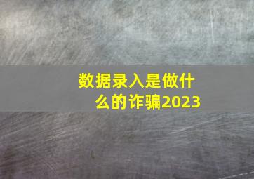 数据录入是做什么的诈骗2023