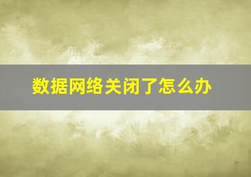 数据网络关闭了怎么办