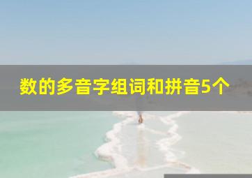 数的多音字组词和拼音5个