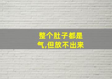 整个肚子都是气,但放不出来