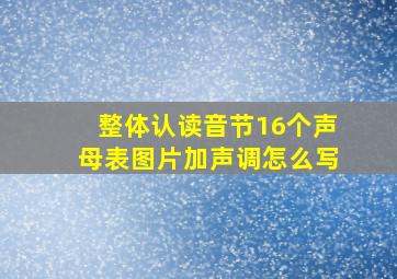 整体认读音节16个声母表图片加声调怎么写