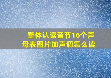 整体认读音节16个声母表图片加声调怎么读