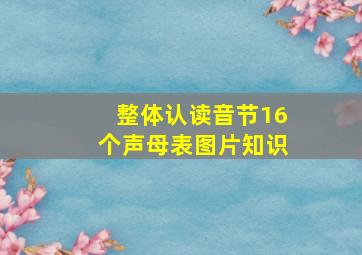 整体认读音节16个声母表图片知识