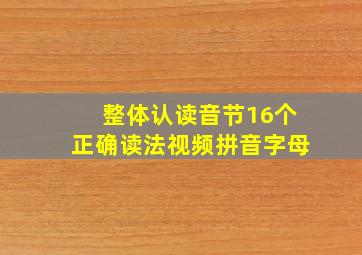 整体认读音节16个正确读法视频拼音字母