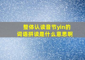 整体认读音节yin的词语拼读是什么意思啊