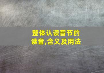 整体认读音节的读音,含义及用法