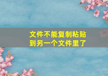 文件不能复制粘贴到另一个文件里了