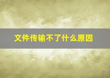 文件传输不了什么原因