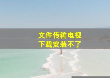 文件传输电视下载安装不了