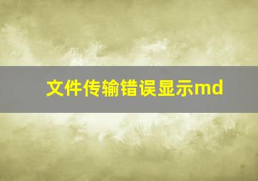 文件传输错误显示md