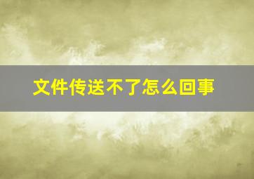 文件传送不了怎么回事