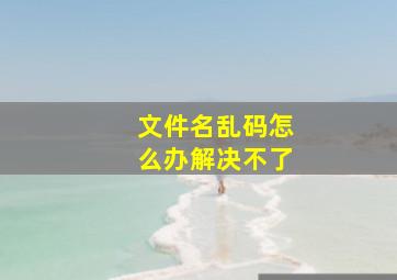 文件名乱码怎么办解决不了