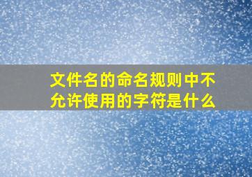 文件名的命名规则中不允许使用的字符是什么