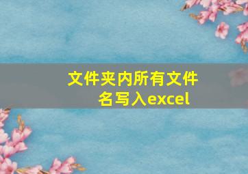 文件夹内所有文件名写入excel