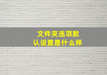 文件夹选项默认设置是什么样