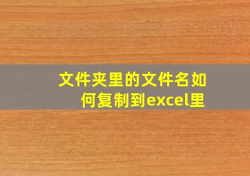 文件夹里的文件名如何复制到excel里