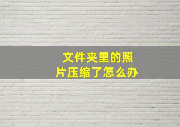 文件夹里的照片压缩了怎么办