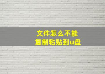 文件怎么不能复制粘贴到u盘