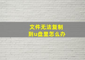 文件无法复制到u盘里怎么办