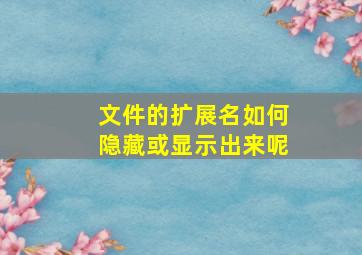 文件的扩展名如何隐藏或显示出来呢