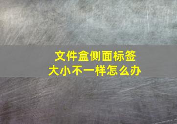 文件盒侧面标签大小不一样怎么办