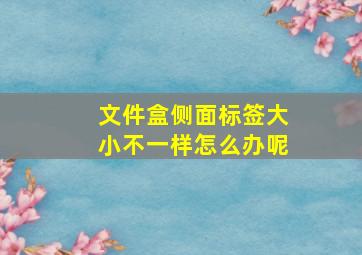 文件盒侧面标签大小不一样怎么办呢