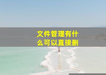 文件管理有什么可以直接删