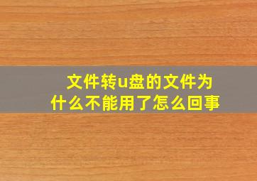 文件转u盘的文件为什么不能用了怎么回事