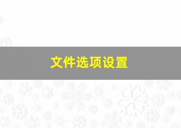 文件选项设置