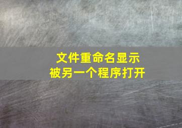 文件重命名显示被另一个程序打开