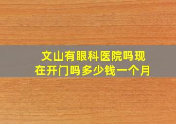 文山有眼科医院吗现在开门吗多少钱一个月