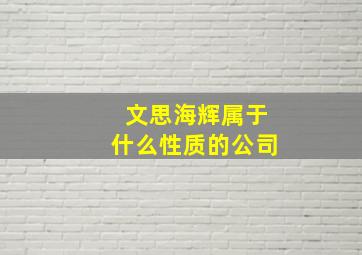 文思海辉属于什么性质的公司