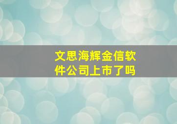 文思海辉金信软件公司上市了吗