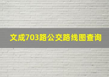 文成703路公交路线图查询