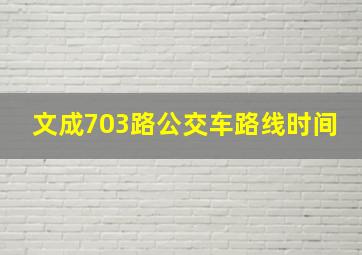 文成703路公交车路线时间