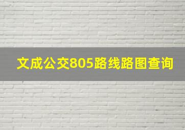 文成公交805路线路图查询