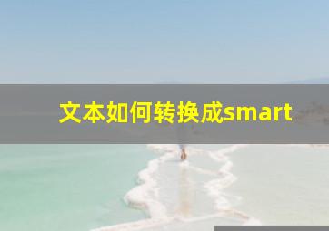 文本如何转换成smart