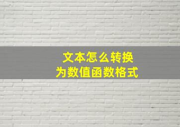 文本怎么转换为数值函数格式