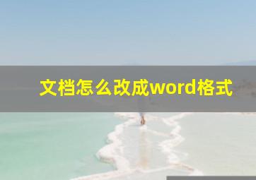 文档怎么改成word格式